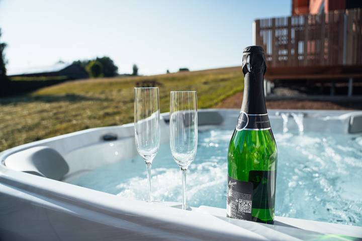 Ferienhaus für 4 Personen, mit Pool und Balkon sowie Sauna und Balkon/Terrasse in Naturpark Oberpfälzer Wald - 2