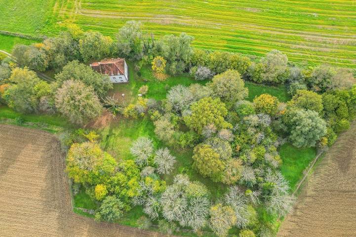 Location de vacances pour 14 personnes, avec Jardin dans Courlon