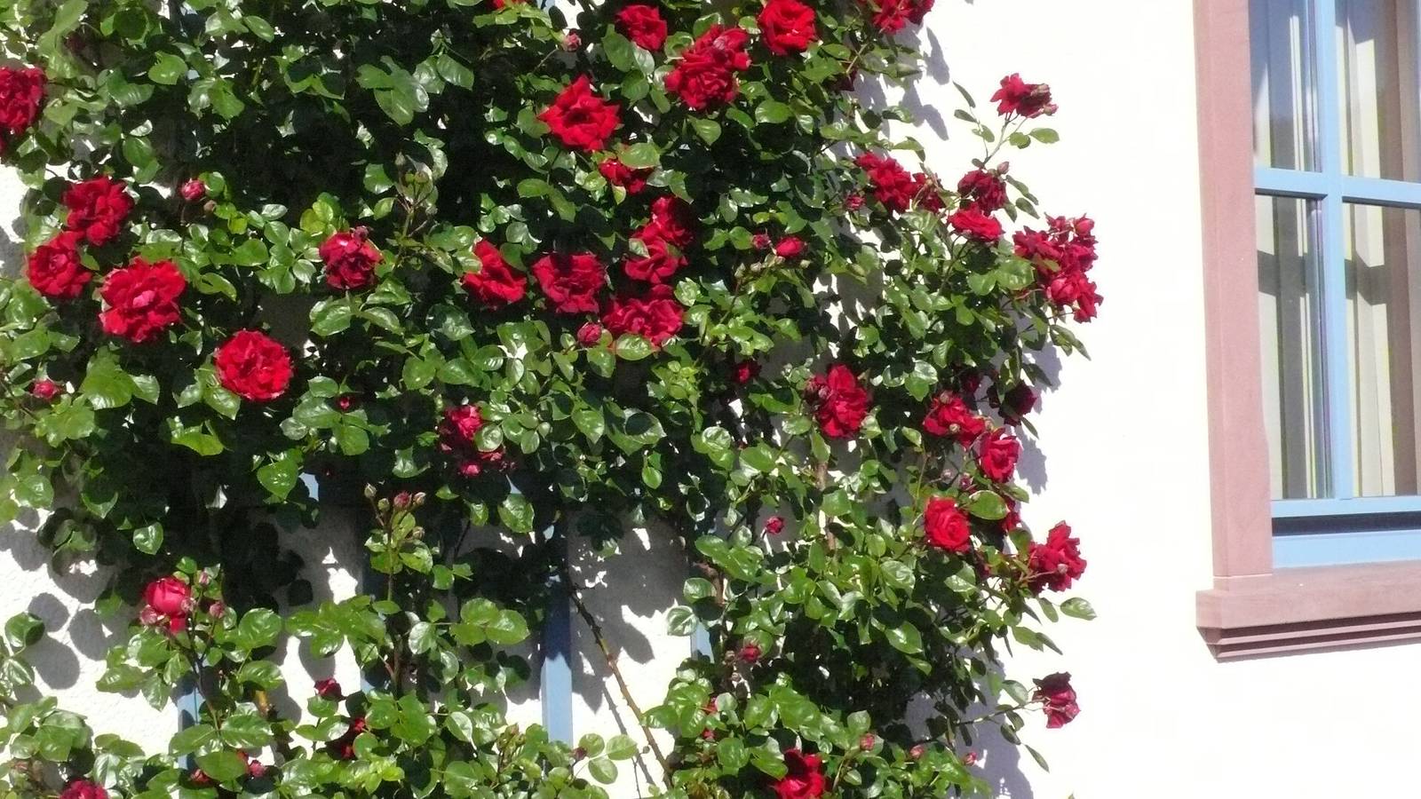 Ganze Wohnung, Ferienwohnung in ehemaliger Bank mit Balkon in Sinntal, Rhön-Hessen
