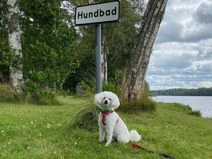 Ferienhaus für 8 Personen, mit Terrasse und Sauna sowie Ausblick und Seeblick, mit Haustier in Astrid Lindgrens värld - 4