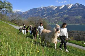 Bauernhof für 4 Personen in Sarnen, Obwalden, Bild 4