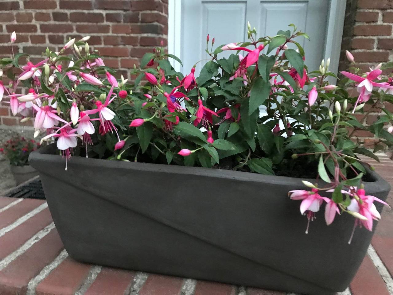 Ganze Ferienwohnung, Ferienwohnung Landhaus - Ferienwohnung Landhaus in Maasbüll, Flensburger Förde