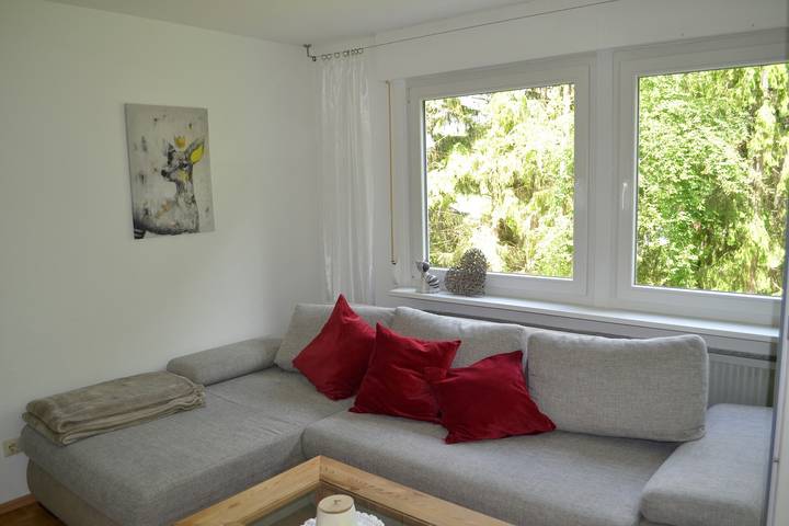 Entire apartment, Apartment 'Am Eschachwäldle' with Private Terrace, Private Garden and Wi-Fi in Niedereschach, Central Black Forest