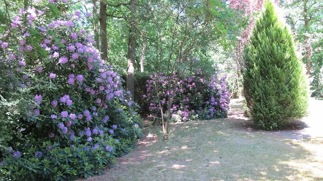 Ferienhaus für 2 Personen (70 m²) in Schneverdingen in Schneverdingen, Nordheide