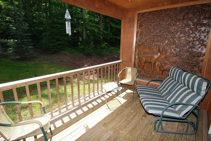 Vacation rental for 8 people, with terrace and hot tub, with pets in Canaan Valley