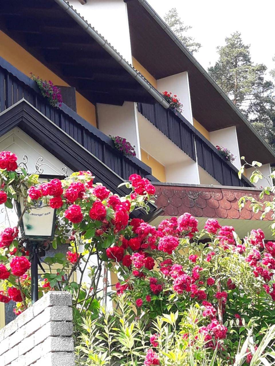 Ferienpension Garni Hubert Rigelnik in Karawanken und Bachergebirge, Sankt Kanzian am Klopeiner See