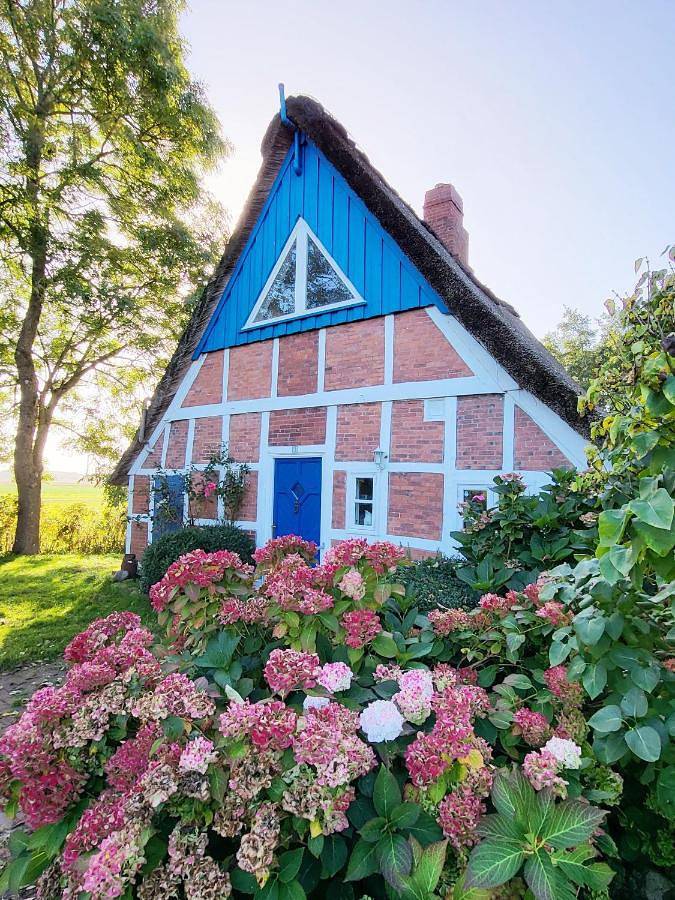 Ferienhaus für 5 Personen, mit Terrasse und Garten sowie Ausblick in Krummendeich