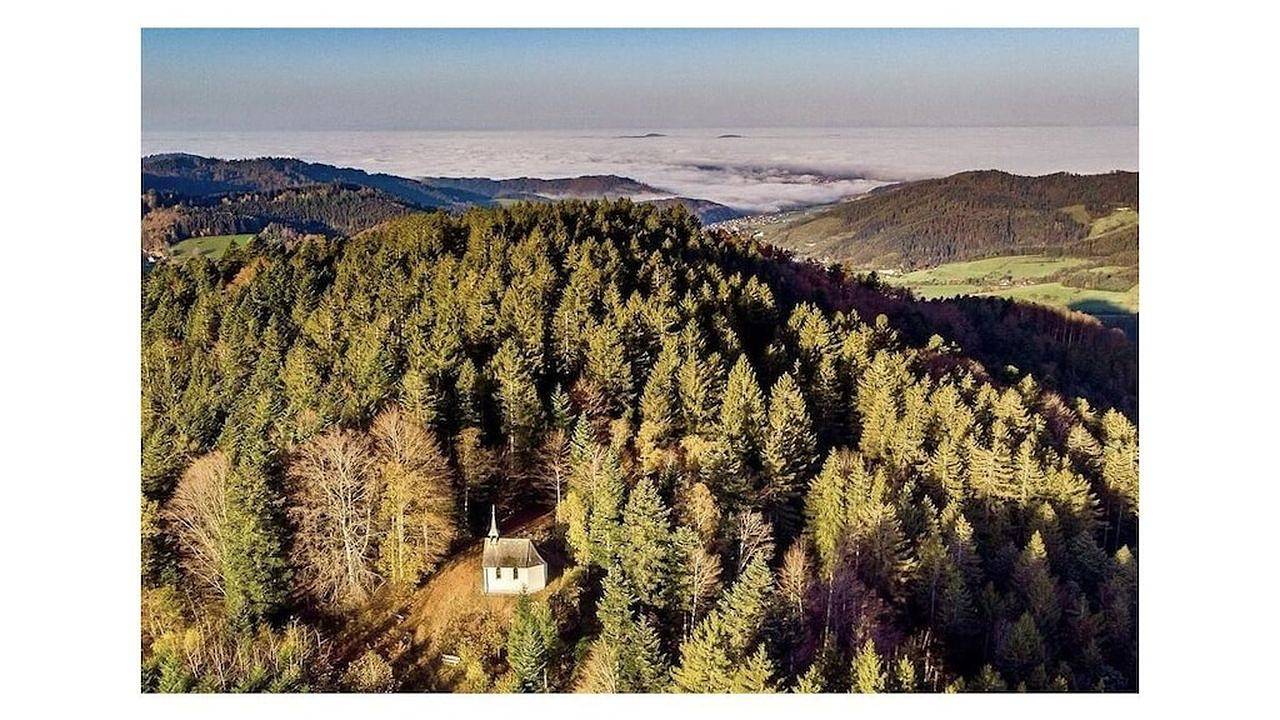 Ferienhaus für 4 Personen (70 m²) in St. Peter in Sankt Peter, Südschwarzwald