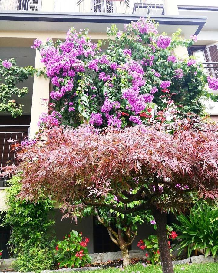 Hotel Fioroni in Bellagio, Région de Bellagio