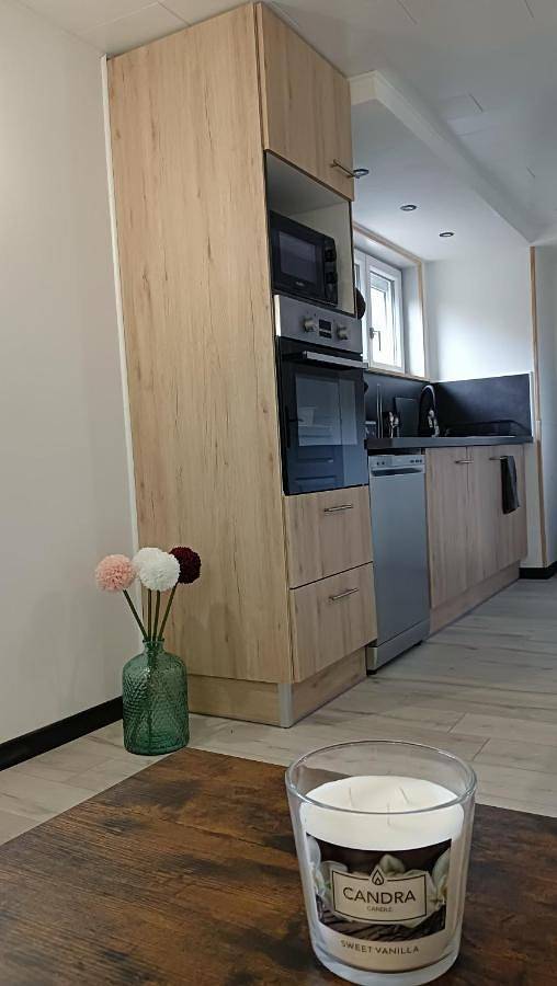 Gîte pour 6 personnes, avec terrasse et jardin à La Cluse-et-Mijoux - 4