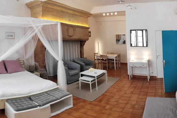 Appartement entier, Gites du Vieux Moulin Duplex Xxl  aux pieds de la Cathédrale de Périgueux in Périgueux, Périgord Blanc