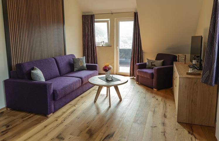 Pension für 4 Personen, mit Balkon/Terrasse und Balkon in Willingen - 3