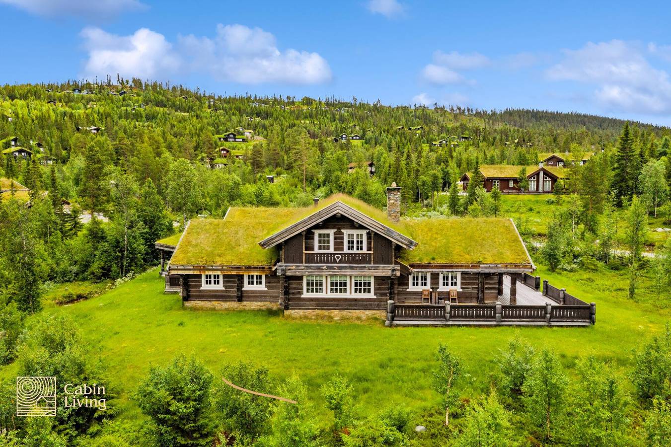 Luxury Cabin at Nesfjellet with sauna, bbq, close to ski & golf in Nes (Buskerud)
