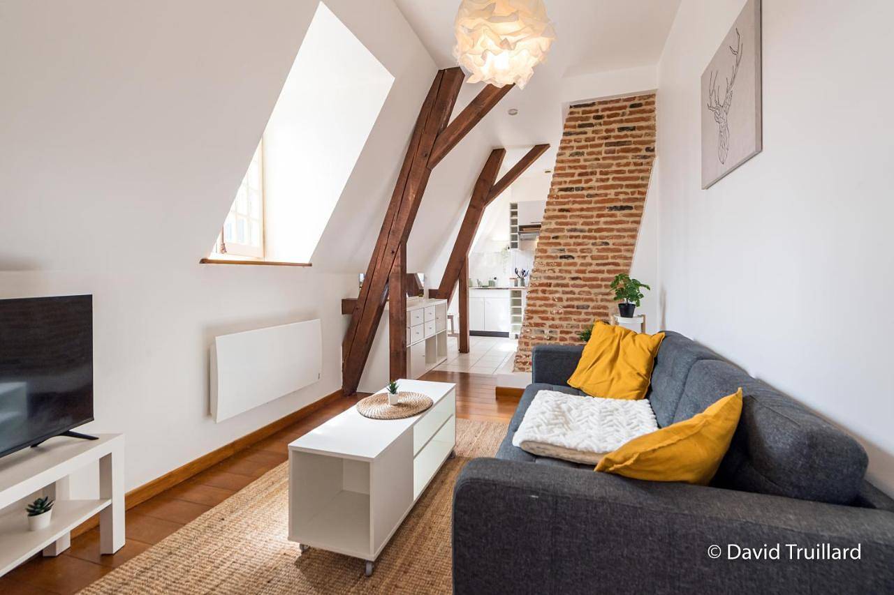 Appartement entier, Suites Mana - Te Fiti en Plein Centre de la Place Ducale avec vue sur les toits in Charleville-Mézières, Ardennes
