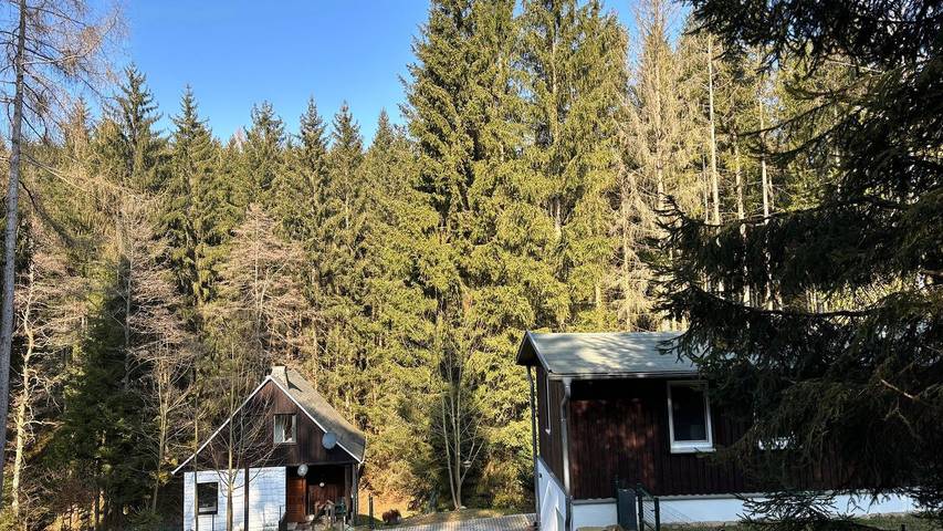 Ferienhaus für 4 Personen, mit Garten im Thüringer Wald - 3