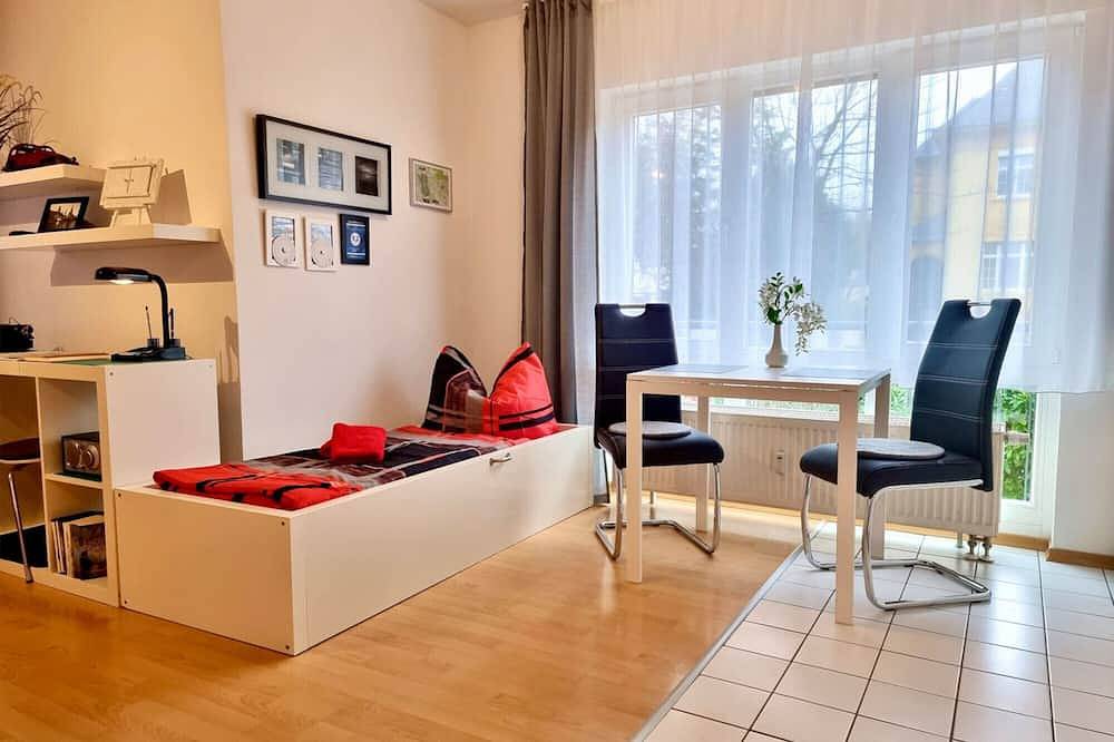Ganze Wohnung, Ferienwohnung am Großen Garten/Zoo in Altstadt (Dresden), Dresden
