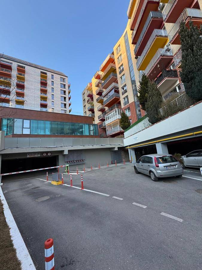 Gîte pour 4 personnes, animaux acceptés à Sinaia - 3