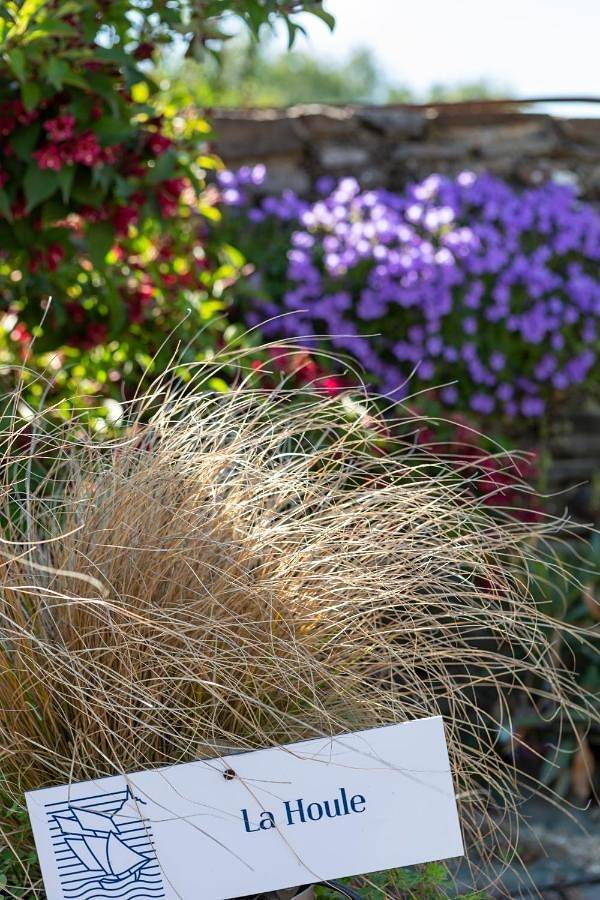 Maison d’hôte pour 2 personnes, avec vue ainsi que piscine et jardin à Cancale - 4