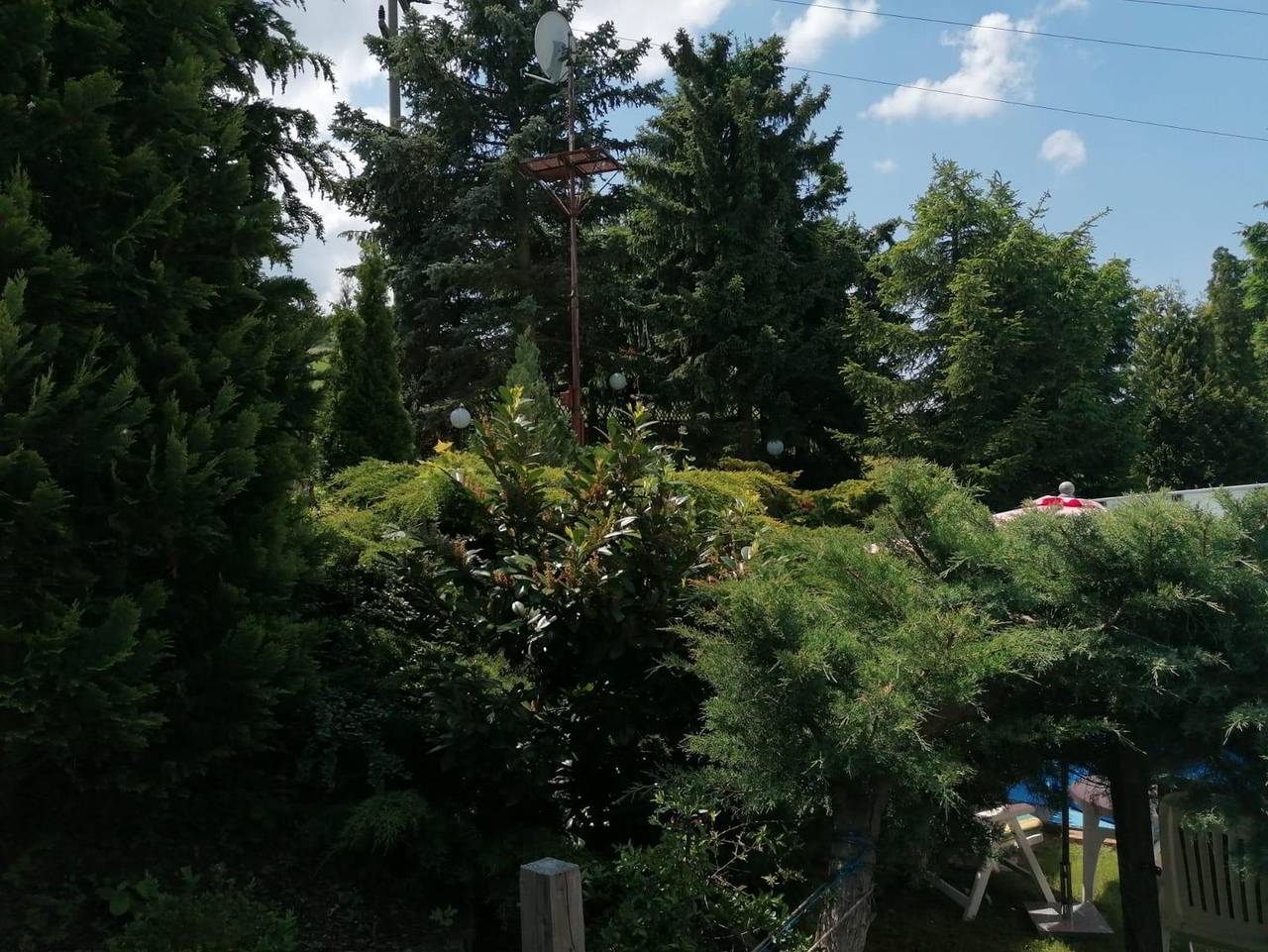 Häuschen in grüner Idylle - Ferienhaus, 1 Schlafraum in Bad Gottleuba-Berggießhübel, Elbsandsteingebirge