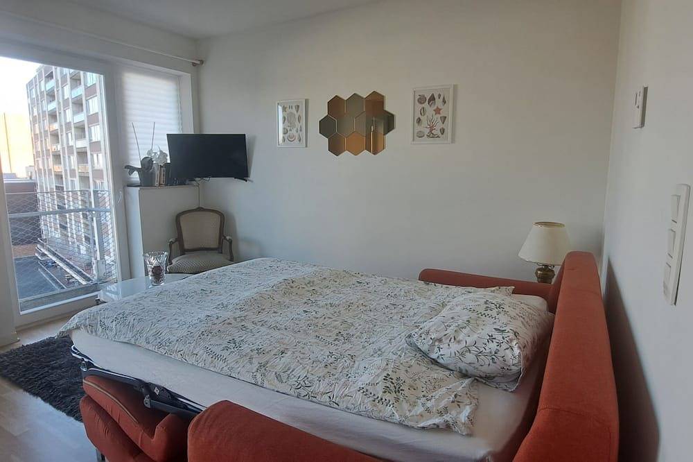 Geheel appartement, Park Brusilia in Schaarbeek, Brussel en omgeving