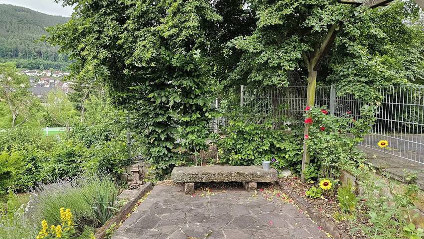 Ferienhaus für 8 Personen, mit Garten, mit Haustier in Deutsche Weinstraße - 3