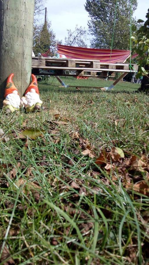 Location de vacances pour 5 personnes, avec terrasse et piscine ainsi que jardin et vue, animaux acceptés à Montcléra - 2