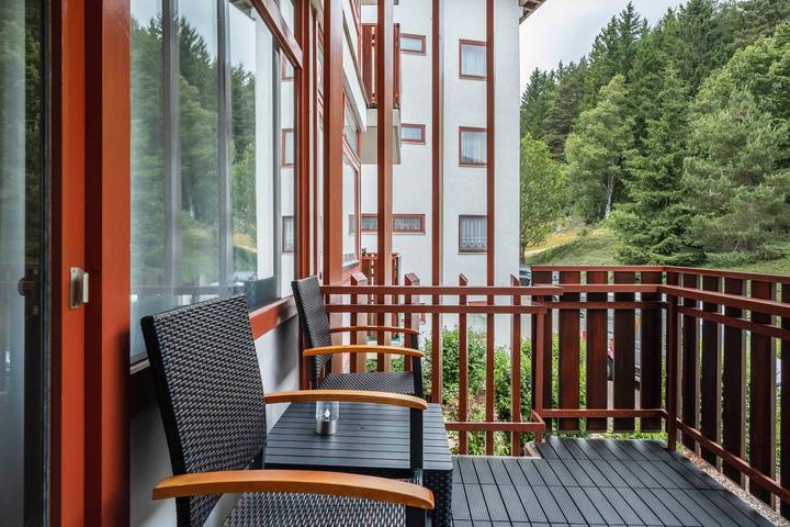 Ferienwohnung für 4 Personen, mit Balkon und Sauna in Schluchsee - 4
