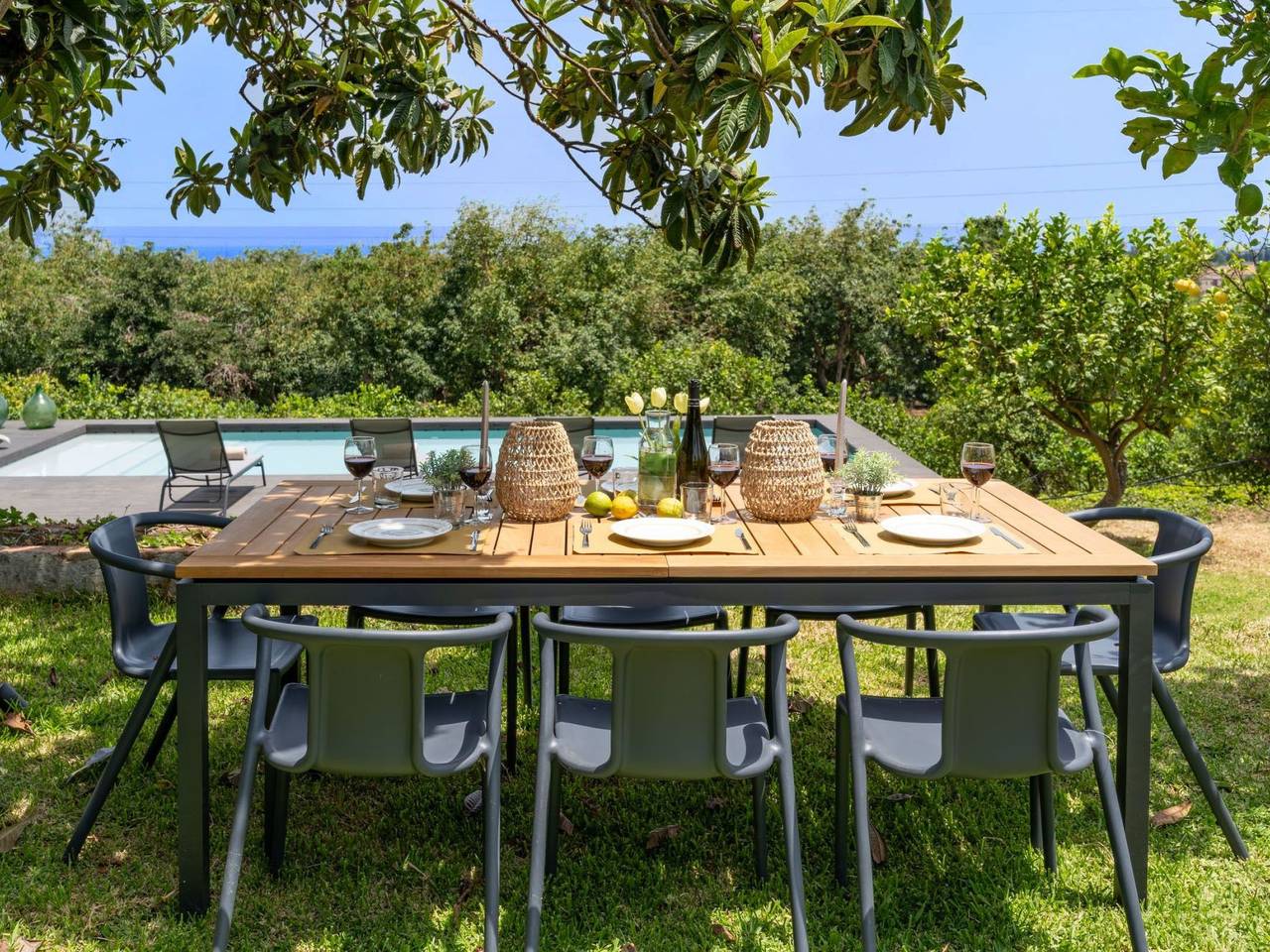 Avocado Garten in Giarre, Ätna