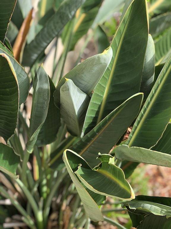 ❤️ Ruhiger Kurzurlaub am Wasser am Maroochy River ❤️ in Maroochydore, Sunshine Coast