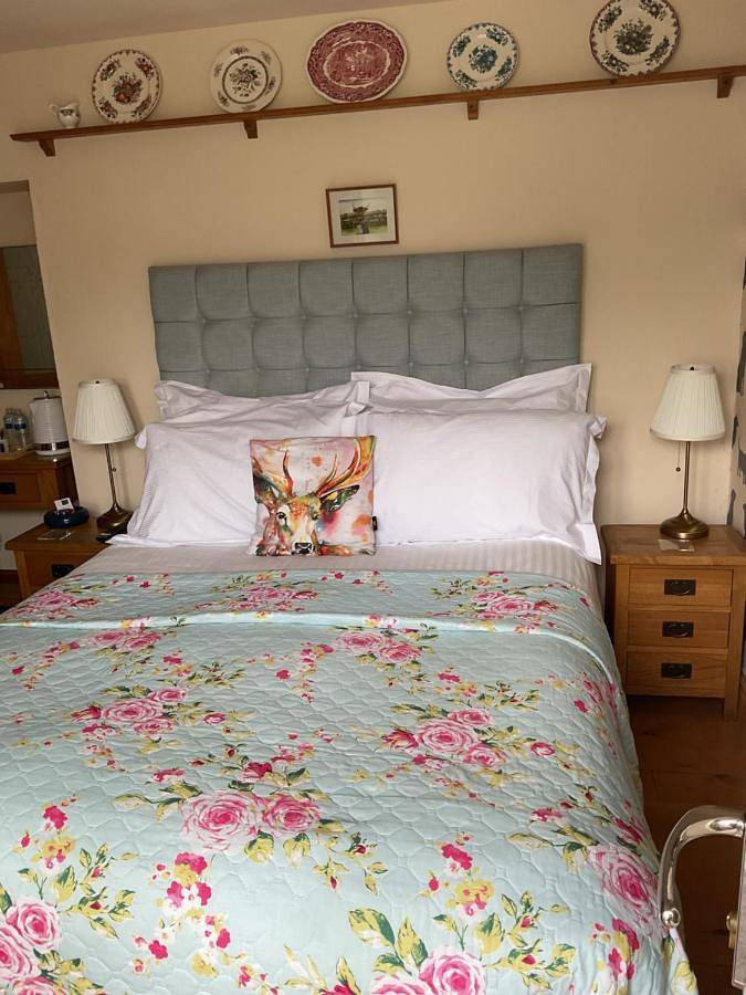 The Snug @ Corry Cottage in Kielder Forest Park
