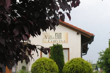 Villa for 12 Guests in Győr-Moson-Sopron megye, Western Transdanubia, Picture 1