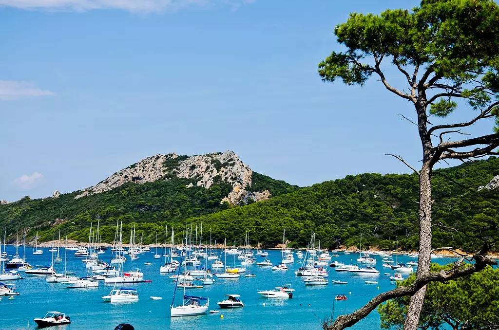 Appartement entier, 2 pièces 4 personnes in Saint-Mandrier-sur-Mer, Côte méditerranéenne (France)