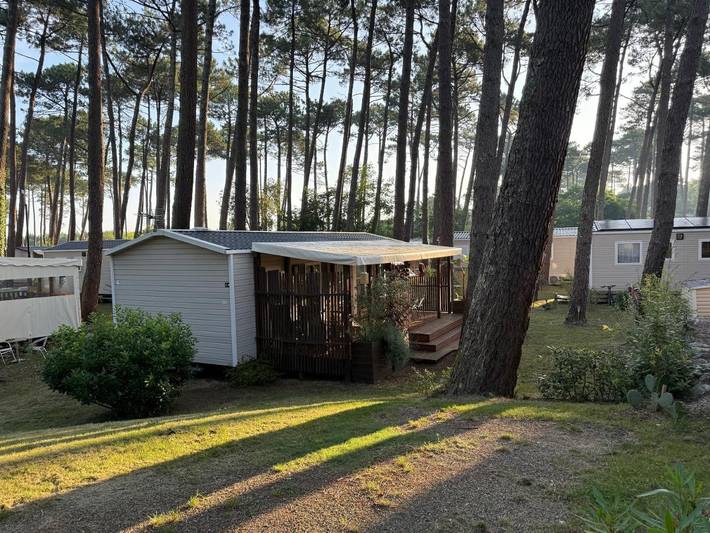 Camping pour 4 personnes à Seignosse - 3