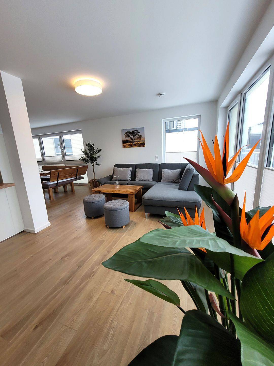 Geheel appartement, Vakantieappartement voor 8 personen met terras in Winterberg, Hochsauerlandkreis