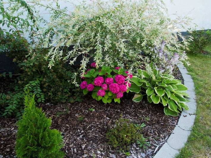 Ferienwohnung für 2 Personen, mit Garten und Terrasse in Ückeritz - 4