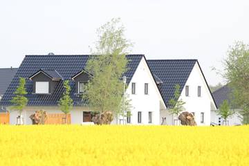 Ferienhaus für 6 Personen, mit Terrasse und Garten in Nienhagen