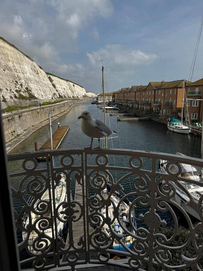 Entire apartment, Two-Bedroom Apartment in Brighton Marina, Brighton