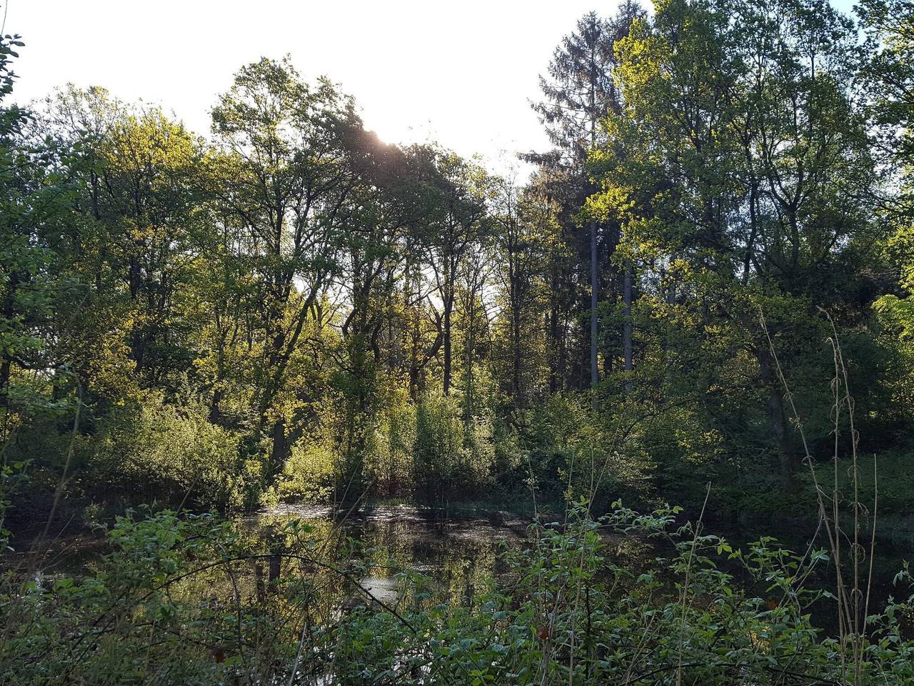 30 person ferie hjemme i Ebeltoft in Ebeltoft, Sør-Djursland