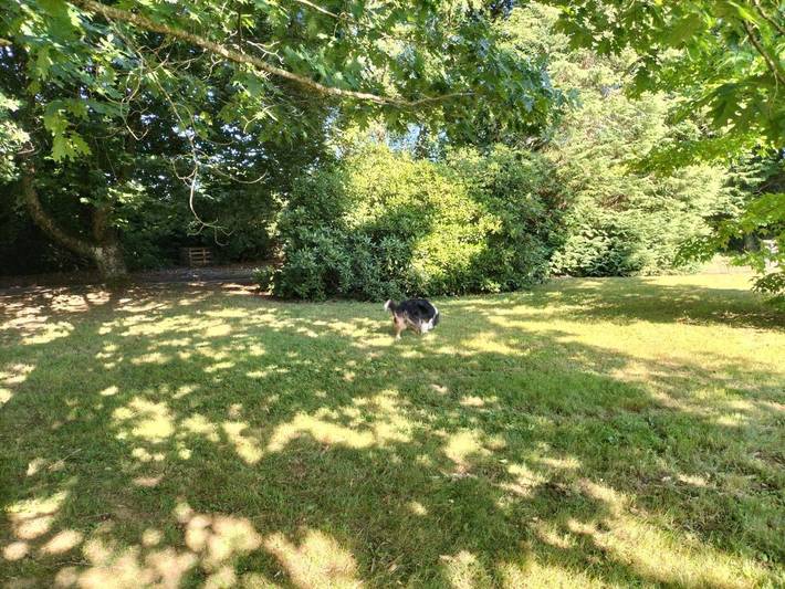 Gîte pour 9 personnes, avec vue et jardin, animaux acceptés à Raon-l'Étape - 3