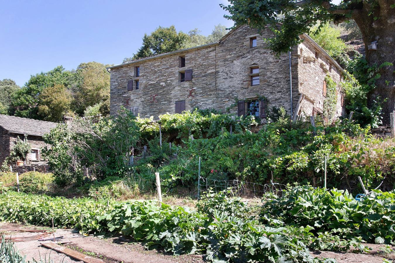 Chambres et table d'hôtes de vernet - Frêne in Saint-Germain-de-Calberte, Parc national des Cévennes