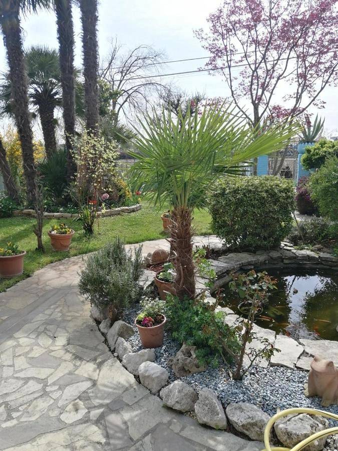 Location de vacances pour 4 personnes, avec jardin et vue à Piove di Sacco - 4