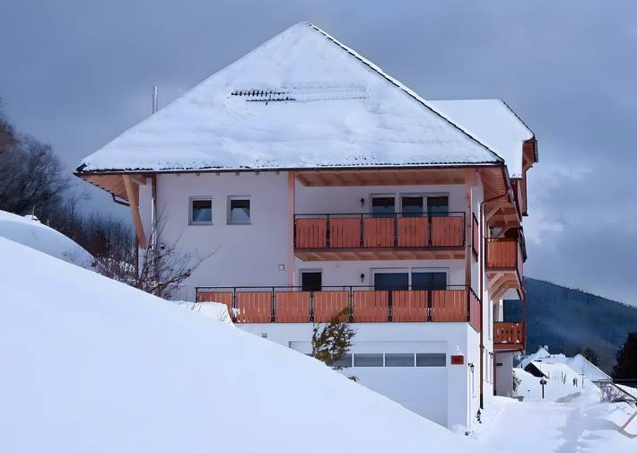 Ganze Wohnung, Haus Hochtalblick - Ferienwohnung "Hochkopf" mit herrlicher Aussicht, Wlan, inkl. Dreiwelten-Card in Bernau im Schwarzwald, Südschwarzwald
