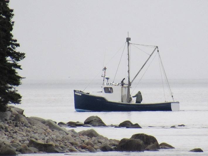 Gîte pour 4 personnes, avec jardin dans Nouvelle-Écosse - 3
