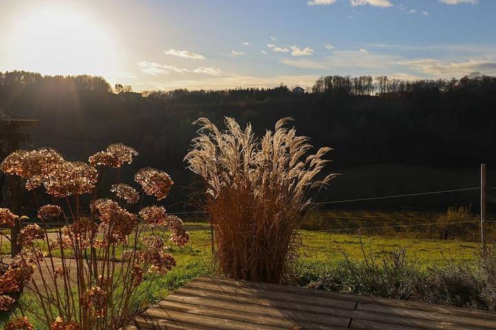Ferienhaus für 5 Personen, mit Balkon und Garten - 1