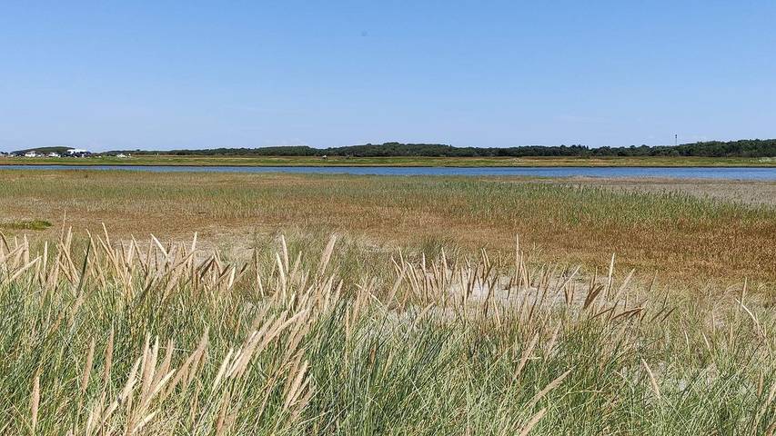 Ferienhaus für 9 Personen, mit Terrasse und Sauna sowie Whirlpool auf Læsø