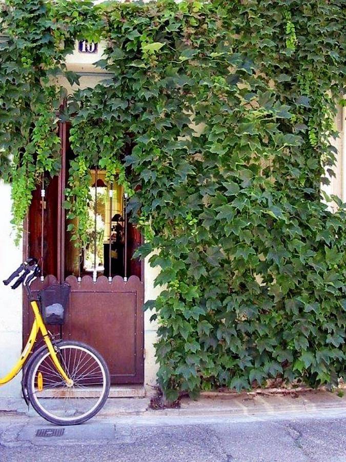 Double Room in Aigues-Mortes, Côte d'Améthyste
