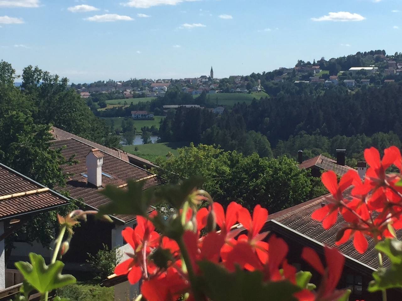 Ganze Ferienwohnung, Ferienwohnung Hauzenberg Blick in Hauzenberg, Passauer Land