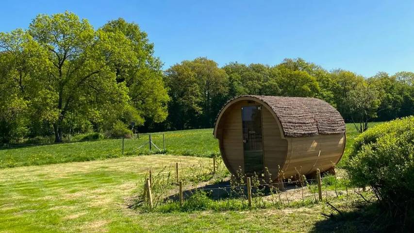 Location de vacances pour 26 personnes, avec jardin et sauna à Houyet - 2