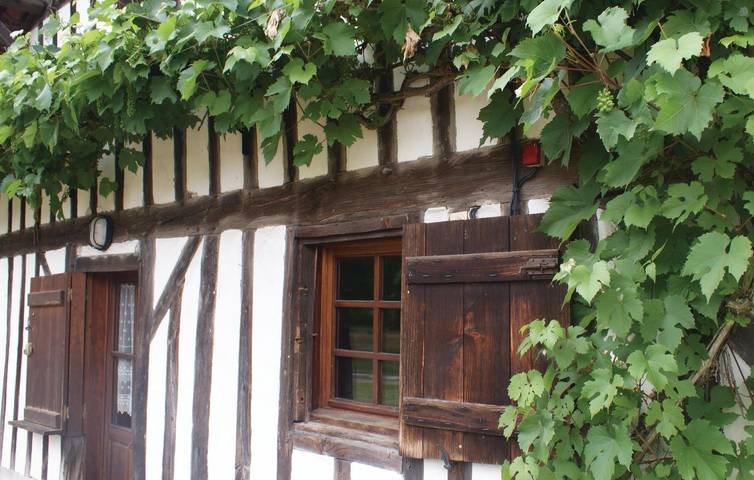 Location de vacances pour 4 personnes, avec jardin dans Parc naturel régional des Landes de Gascogne - 4