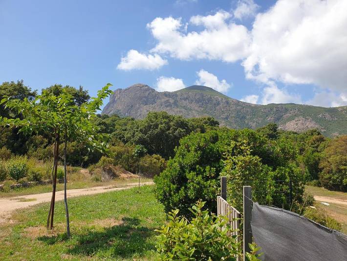 Gîte pour 3 personnes, avec jardin ainsi que terrasse et vue à Sarrola-Carcopino - 4